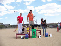 Podium Domingo 13 Grado II Standard