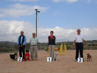 Podium Domingo 14 grado II mini-midi