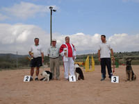 Podium Domingo 14 grado II Standard