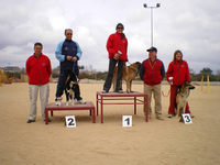 Podium Domingo 17 Grado I Standard