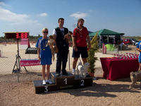 Podium Domingo Grado I Mini