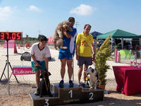 Podium Domingo Grado I Standard