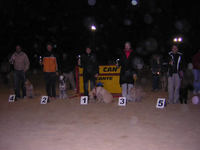 Podium Cachorros