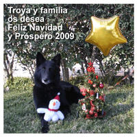 Troya y familia os desea Feliz Navidad