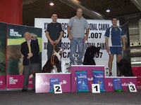 Podium Grado II Standard Domingo