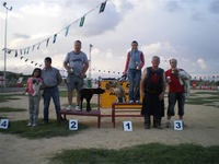 Podium Obediencia Grado Cachorros