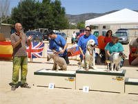 Podium Domingo 6 Grado I