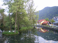 Kocevje