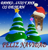 Ana,Luis y Danko nos felicitan la navidad