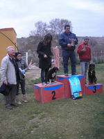 Podium Obediencia Basico