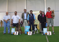 Podium Domingo 11 grado III