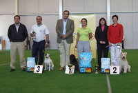 Podium Domingo 11 Grado II Mini-Midi