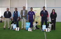 Podium Domingo 11 Grado II Standard