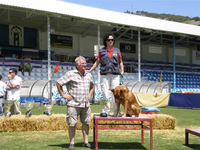 Podium Obediencia Mondioring Grado II