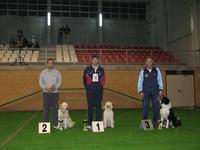 Podium Sabado 10 Grado II Standard