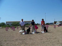 Podium ¿y tu perro que sabe hacer?