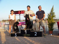 Podium Sabado Grado II Standard