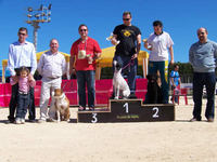 Podium Grado I Standard Domingo